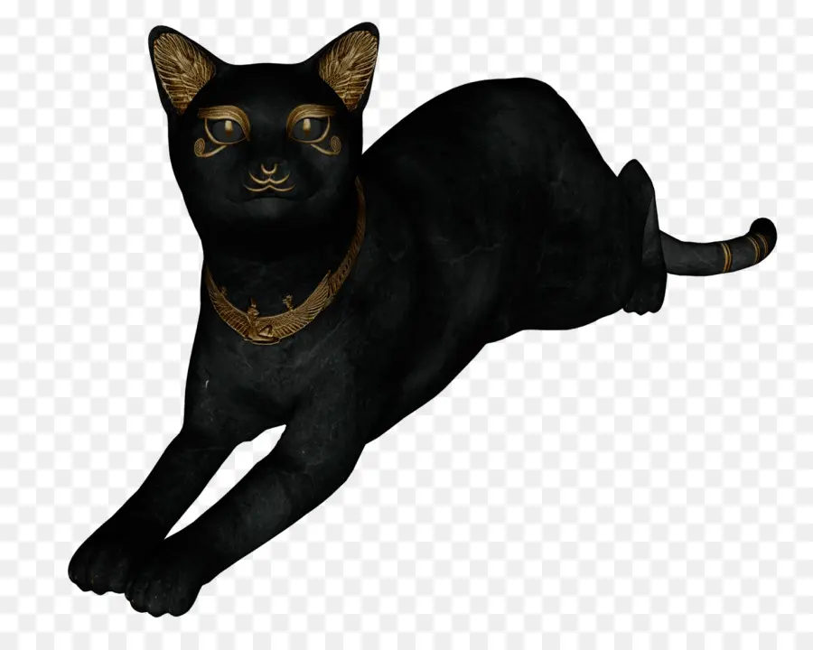 Черная кошка，Кот PNG