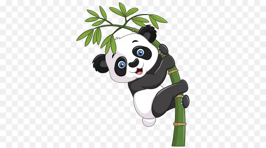 гигантская панда，Bamboo PNG