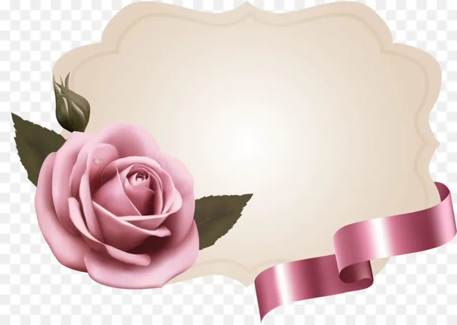 Сад роз，розовый PNG