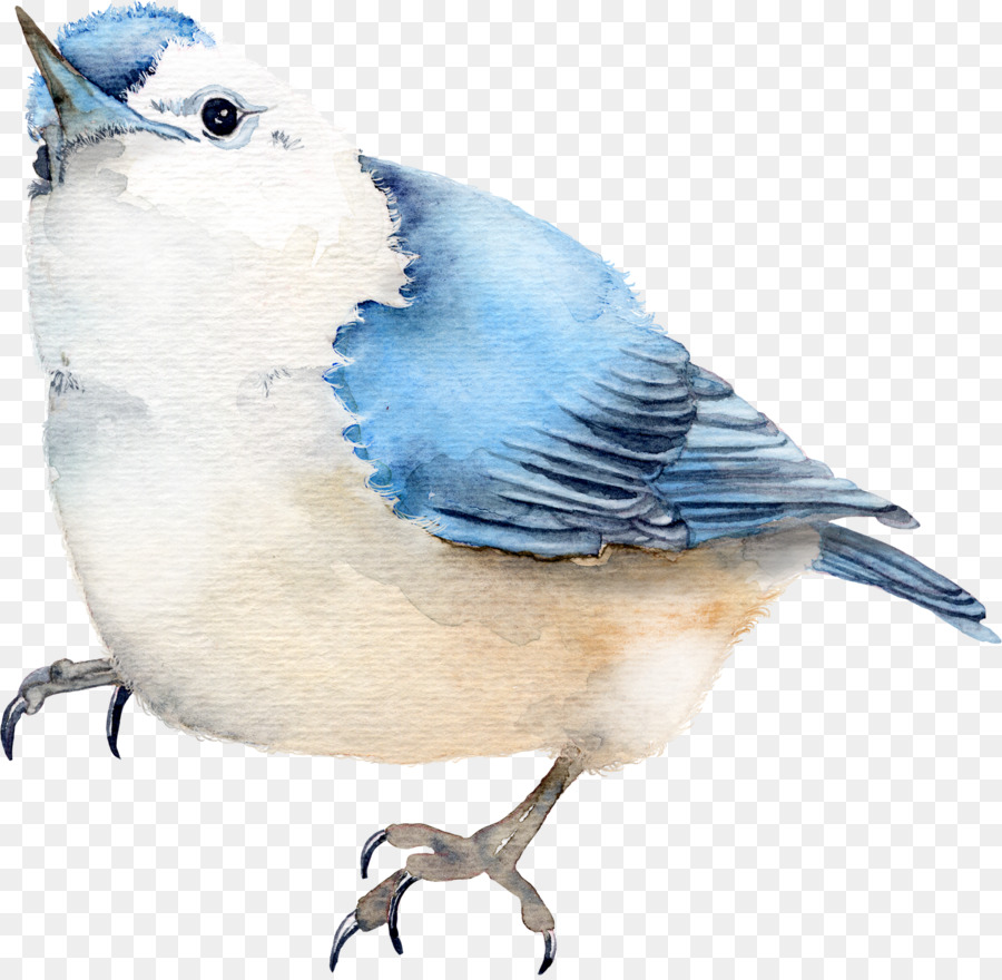 Голубые птички на белом фоне