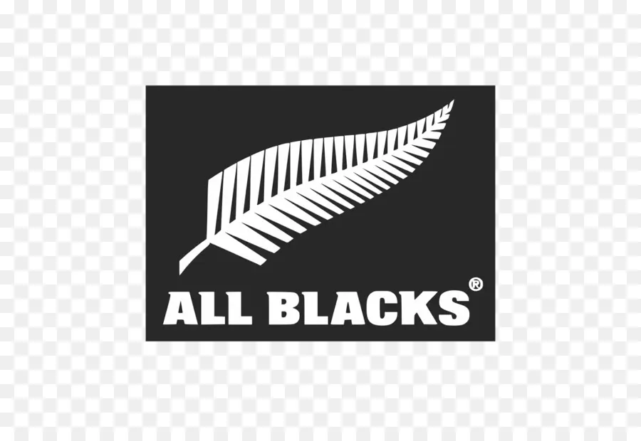 Логотип All Blacks，Папоротник PNG