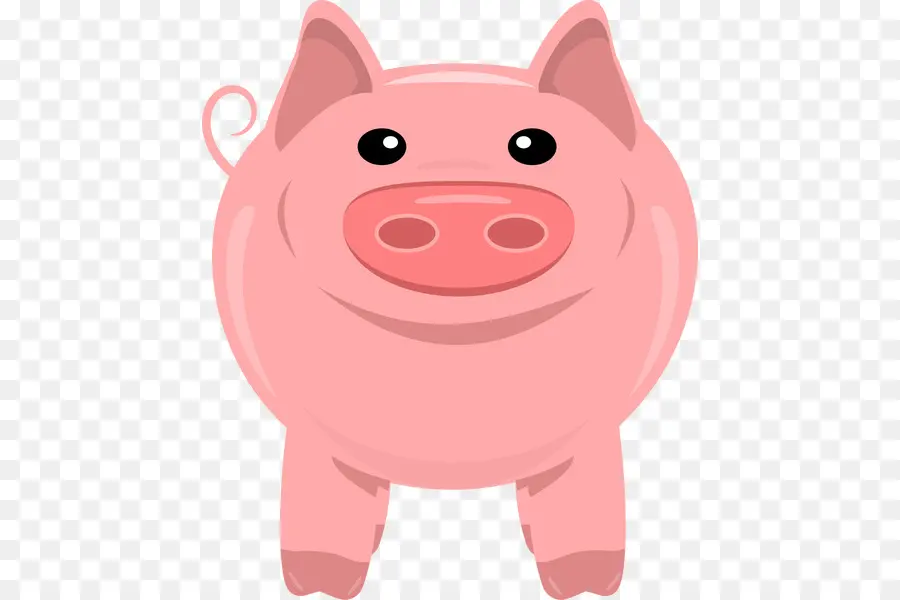 Домашняя свинья，Обои Для Рабочего Стола PNG
