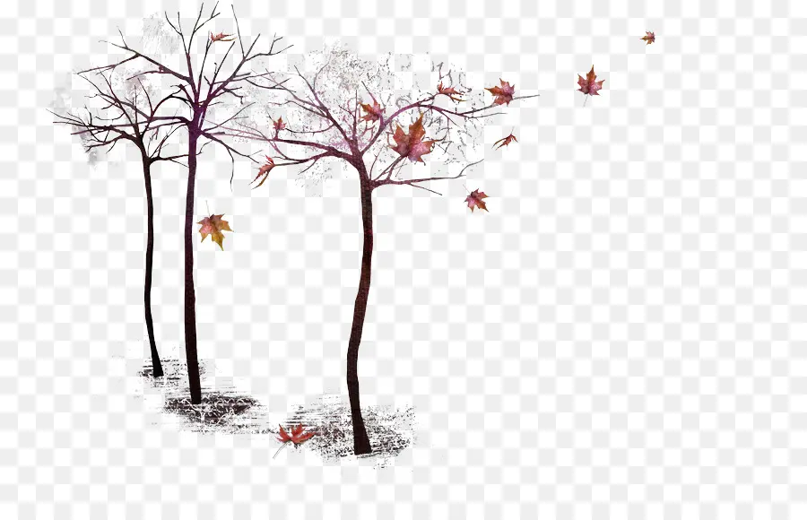 Осень，Дерево PNG