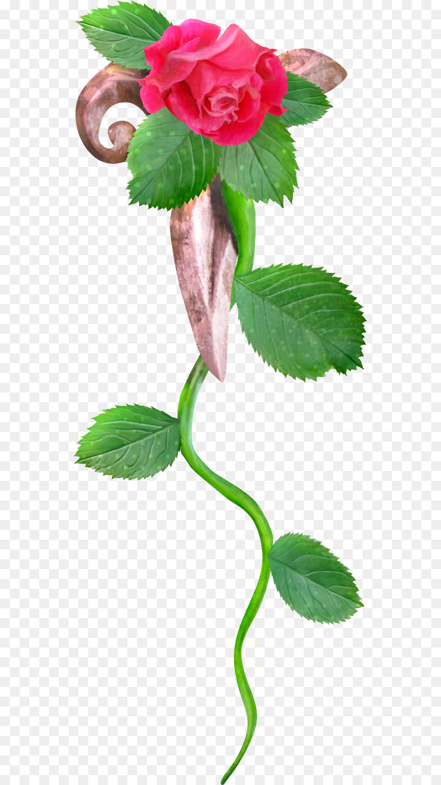 Сад роз，по прежнему жизни розовых роз PNG