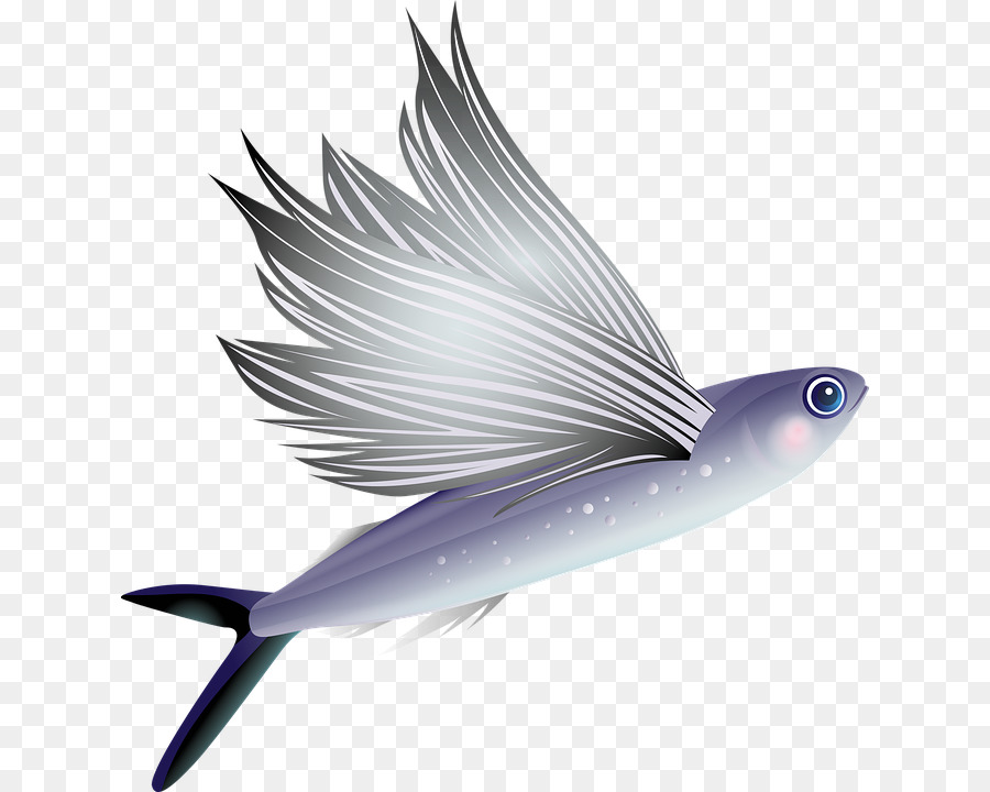 Аквариум，Рыбы PNG