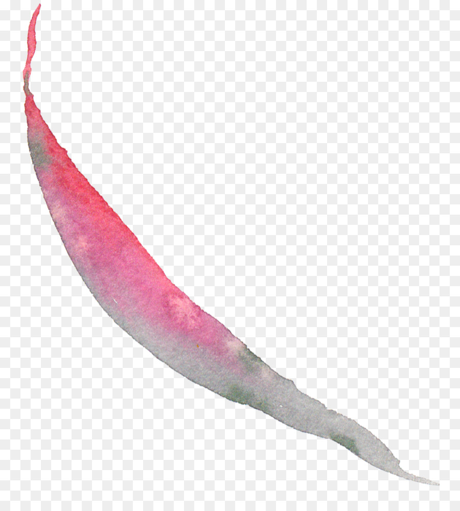розовый M，Рыбы PNG