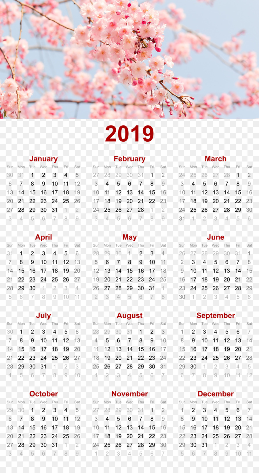 Календарь сакура. Японский цветочный календарь. Календарь Сакура для печати. Сакура календарь 2019.