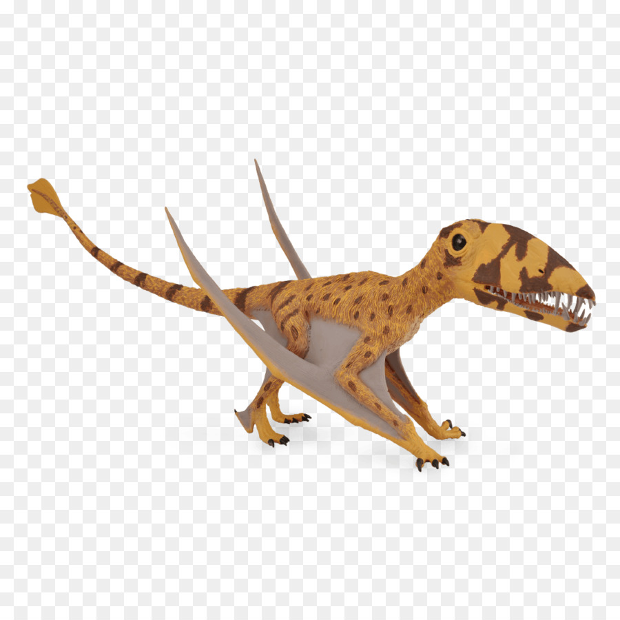 Dimorphodon，птерозавры PNG