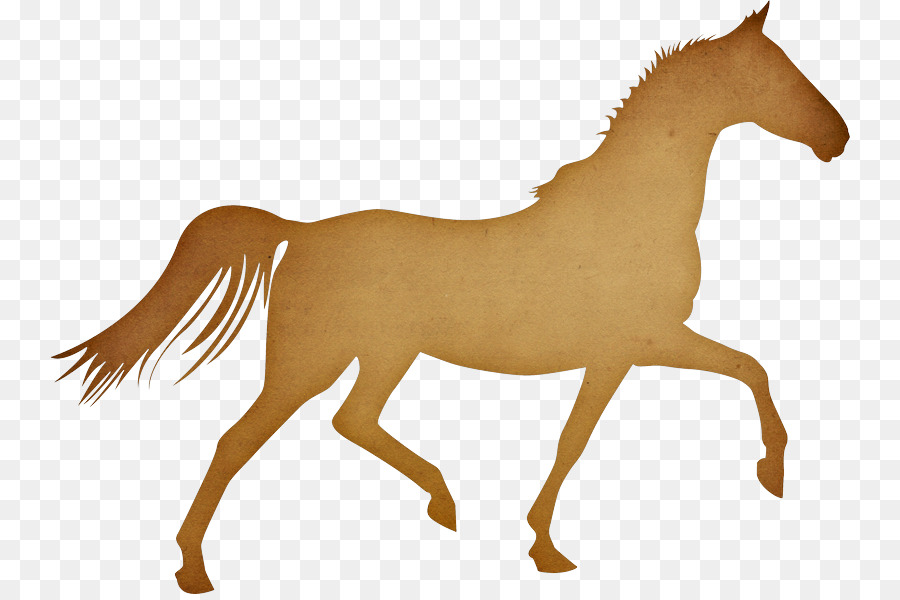 пони，Аравийская лошадь PNG