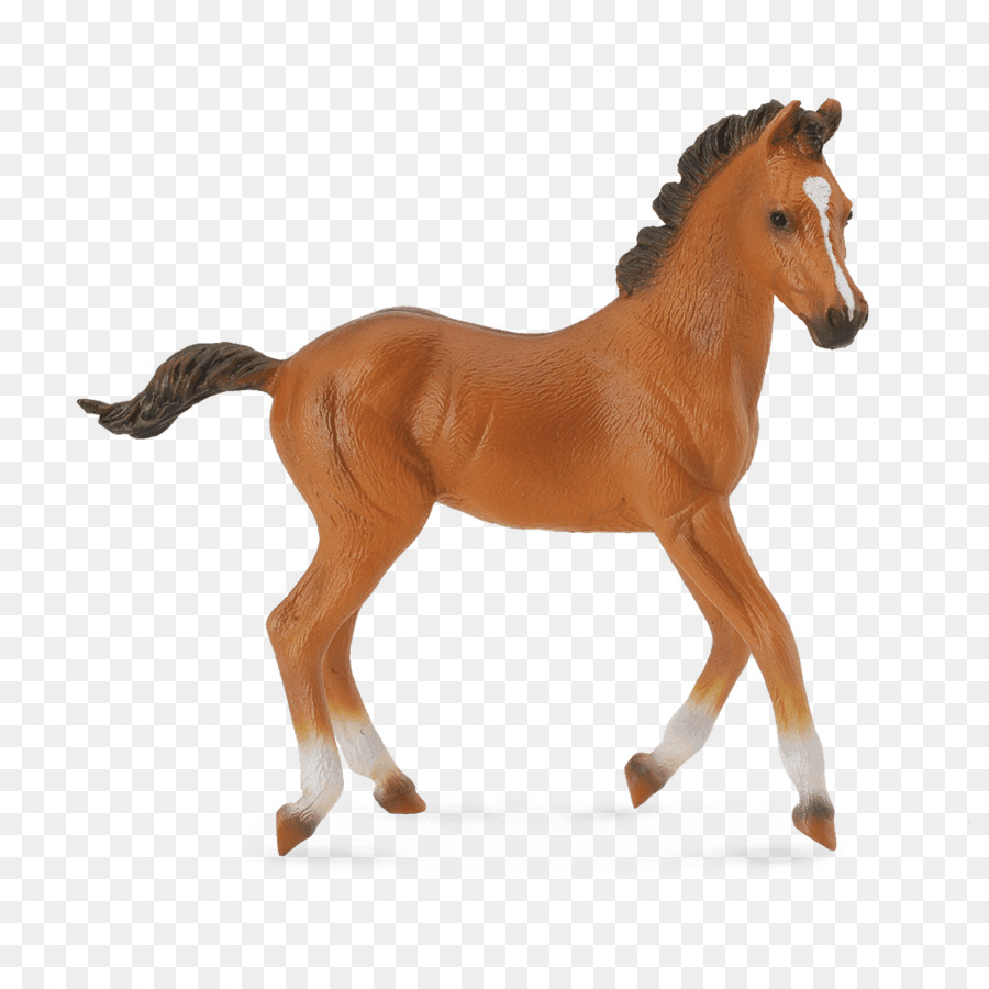 Американская квартальная лошадь，жеребенок PNG