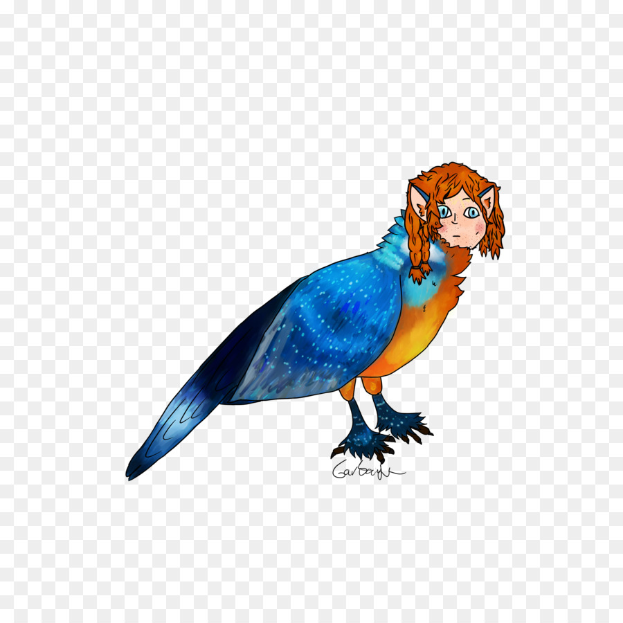 волнистый попугай，ара PNG