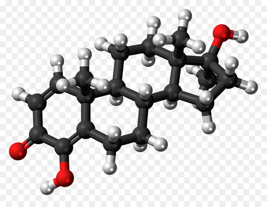 кортизол，тестостерон PNG