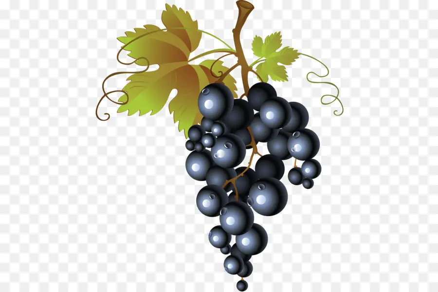 общие винограда，Красное Вино PNG