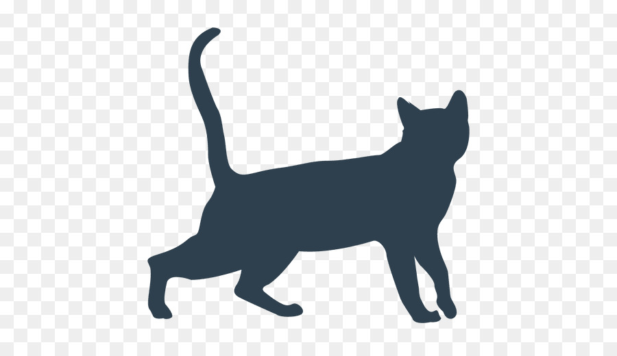 Черный кот，внутренние короткошерстная кошка PNG
