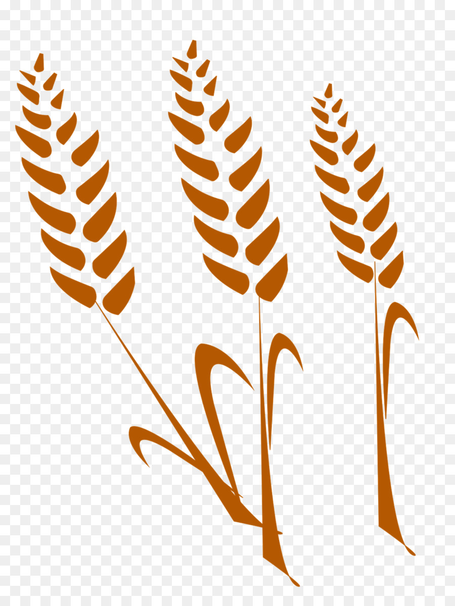 Векторные колоски пшеницы