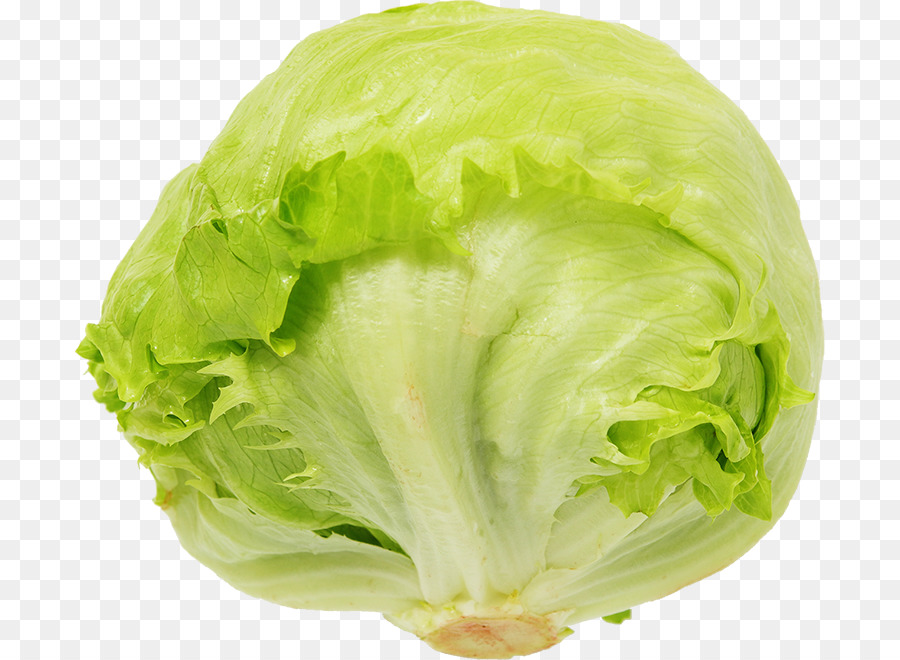 Салата ромэн romaine lettuce