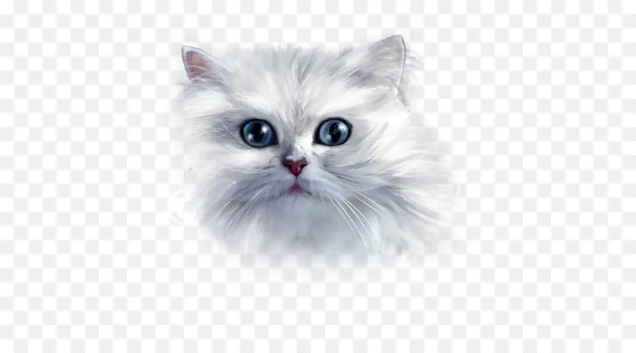 азиатские полудлинношерстным，рагамаффин кошка PNG