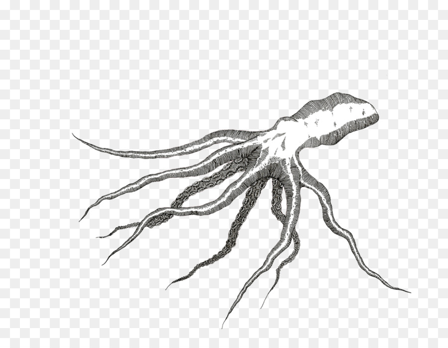 Скорпион，беспозвоночных PNG
