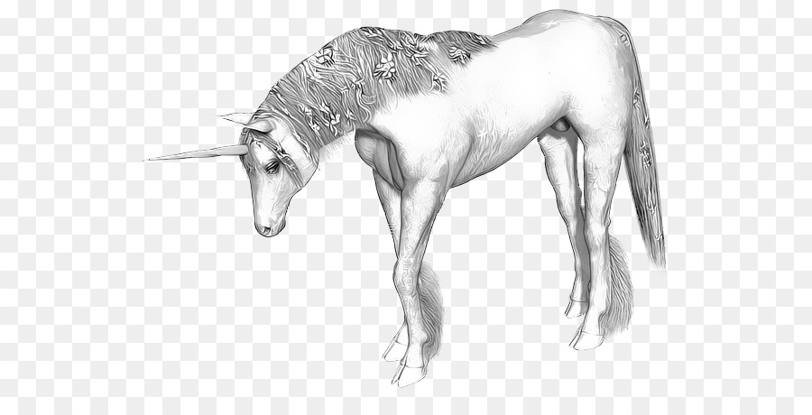 единорог，лошадь PNG
