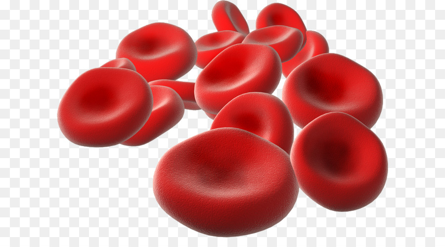 Rbc society. Клетки крови. Эритроциты в крови. Молекула крови. Эритроциты красные кровяные клетки.