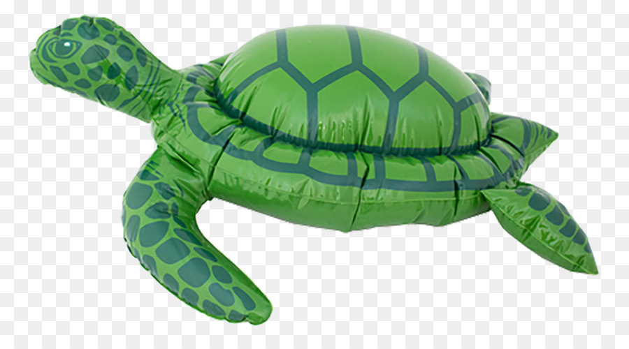 надувные，черепаха PNG