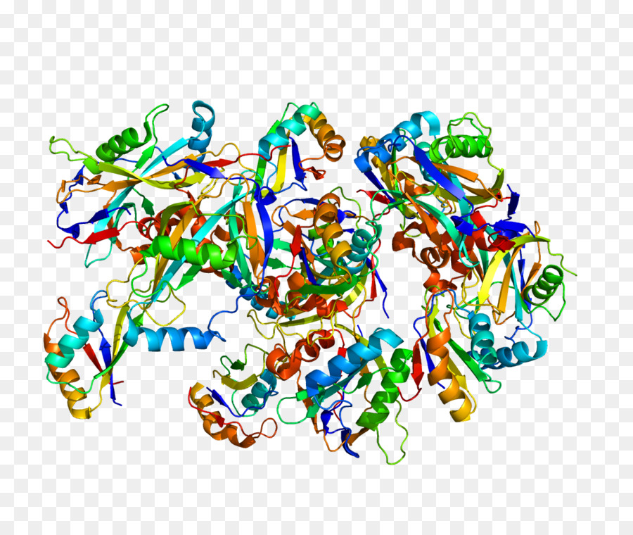структура белка，молекула PNG