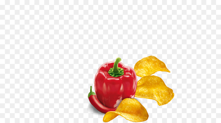 Бишон，Cayenne Pepper PNG