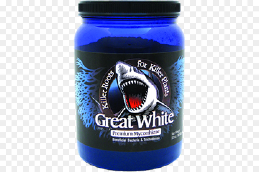 Большая белая акула，Микориза PNG