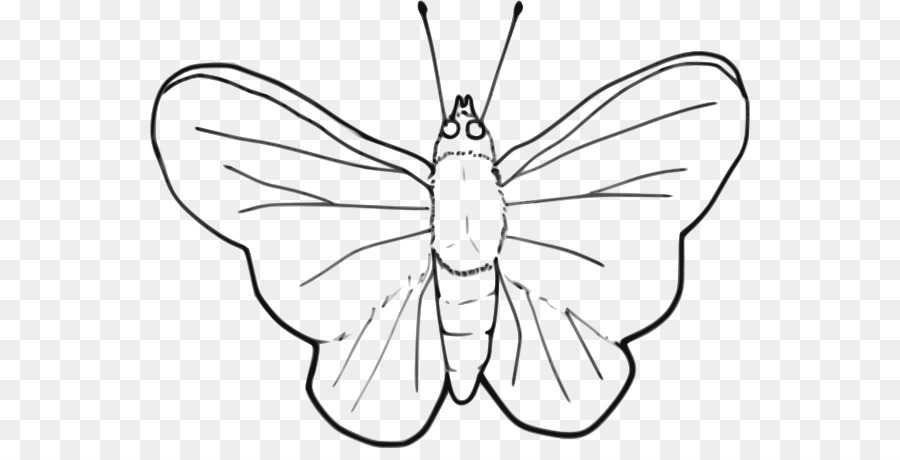 Бабочка，Бабочки и мотыльки PNG
