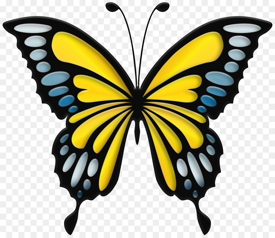 бабочка Махаон，бабочка монарх PNG
