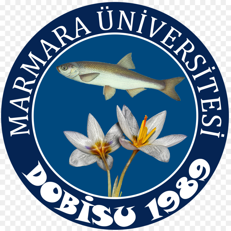 Университет Мармара，Университет PNG