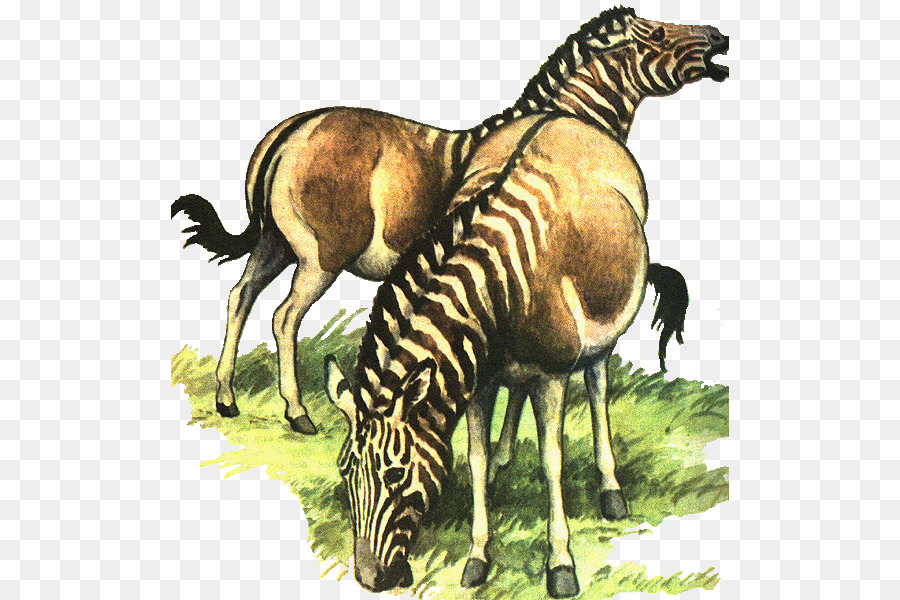 Вымершие животные картинки. Вымершие животные квагга. Зебра квагга. Вымершая лошадь квагга. Тилацин Зебра квагга.