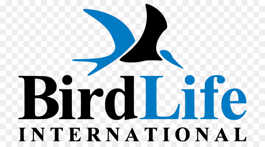 Птица，логотип PNG