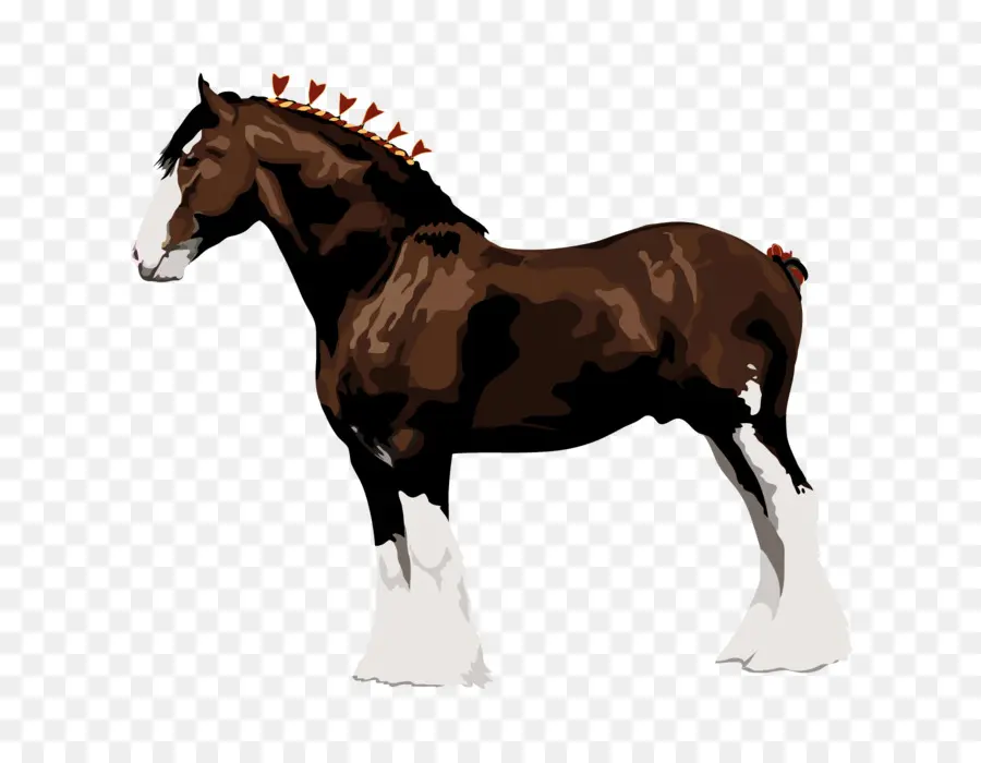 Лошадь клайдсдейл，Першерон PNG