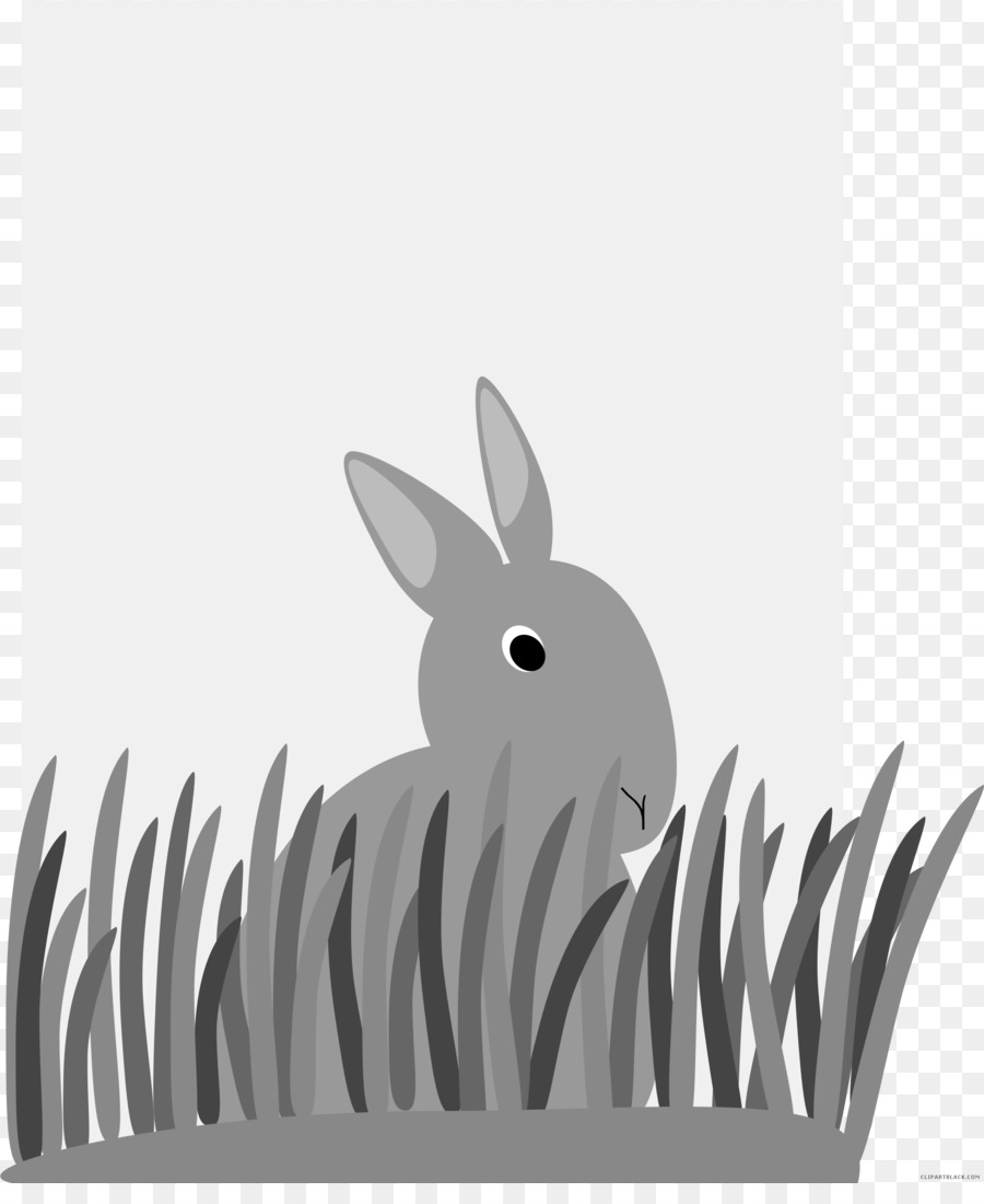 Домашний кролик，Кролик PNG