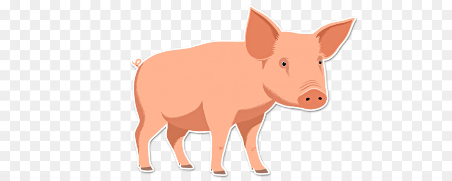 свинья，Крупный рогатый скот PNG