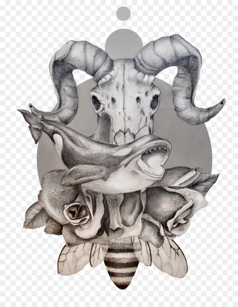 Рисунок，череп PNG