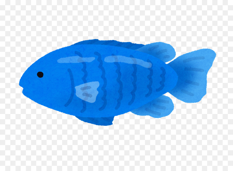 Blue Devil，Уайттейл Dascyllus PNG