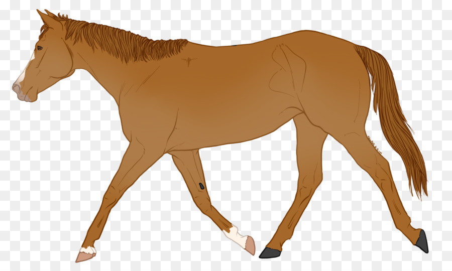 лошадь，пони PNG