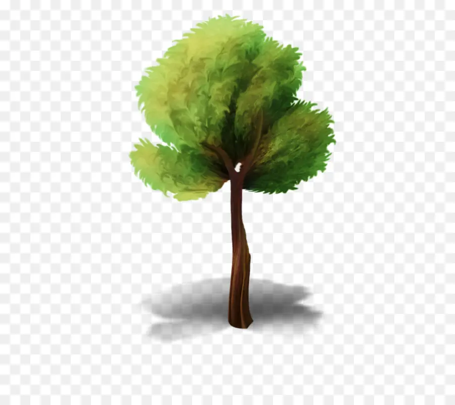 Дерево，Анимация PNG