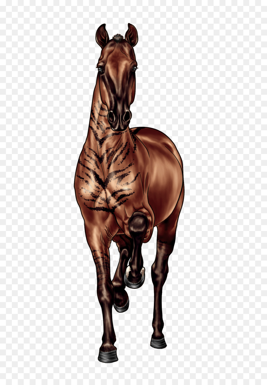лошадь，на сайте Deviantart PNG