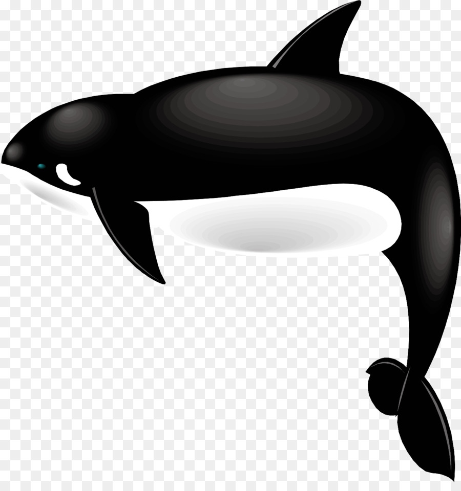 Дельфин，Касатка PNG