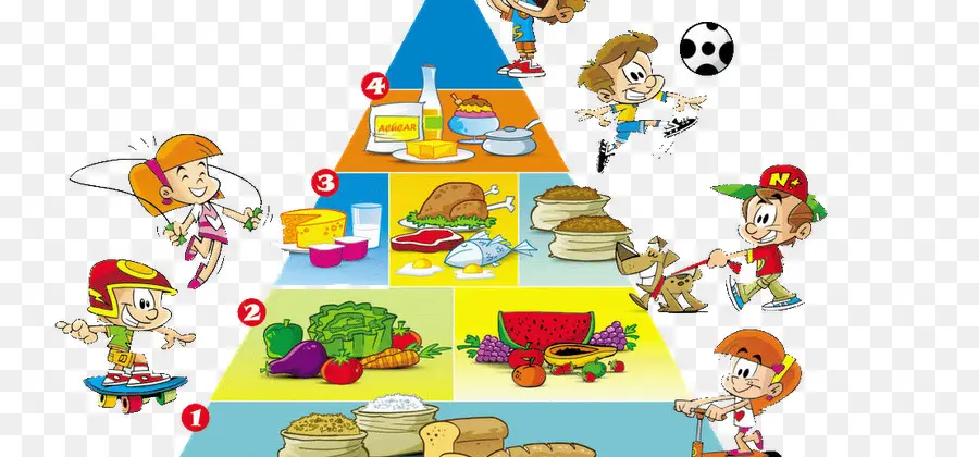 детское питание，Пищевая пирамида PNG