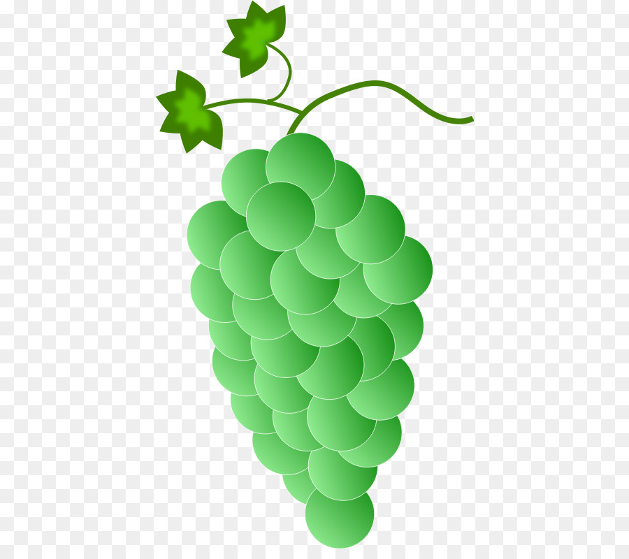 общие винограда，виноград PNG