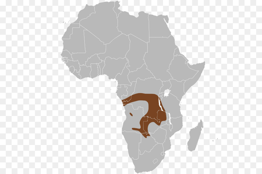 Африка，Африканского Союза PNG