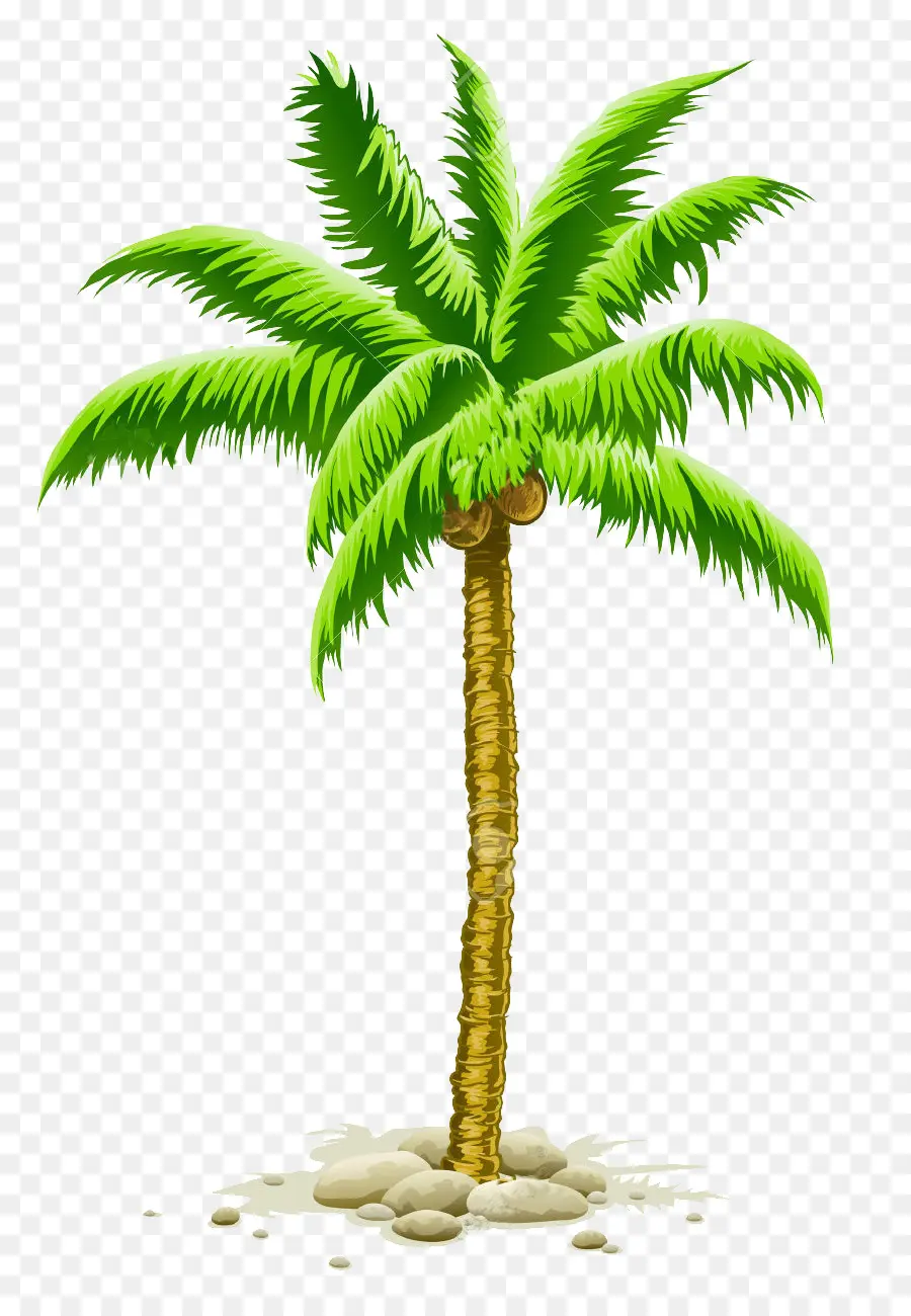 пальмы，Royaltyfree PNG