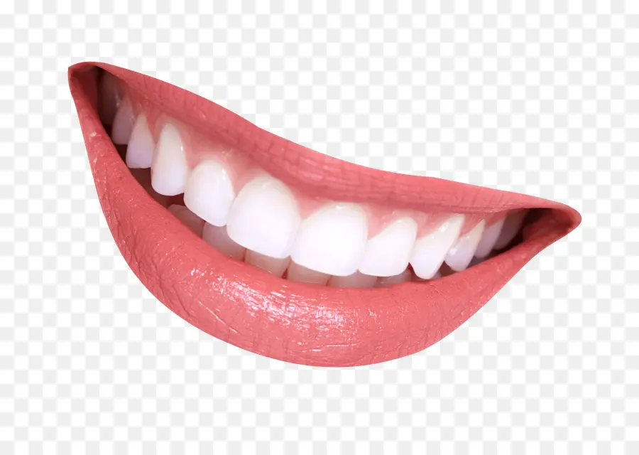 Зубная Фея，человеческий зуб PNG