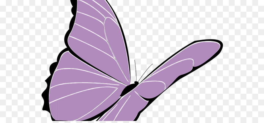Brushfooted бабочки，бабочка монарх PNG