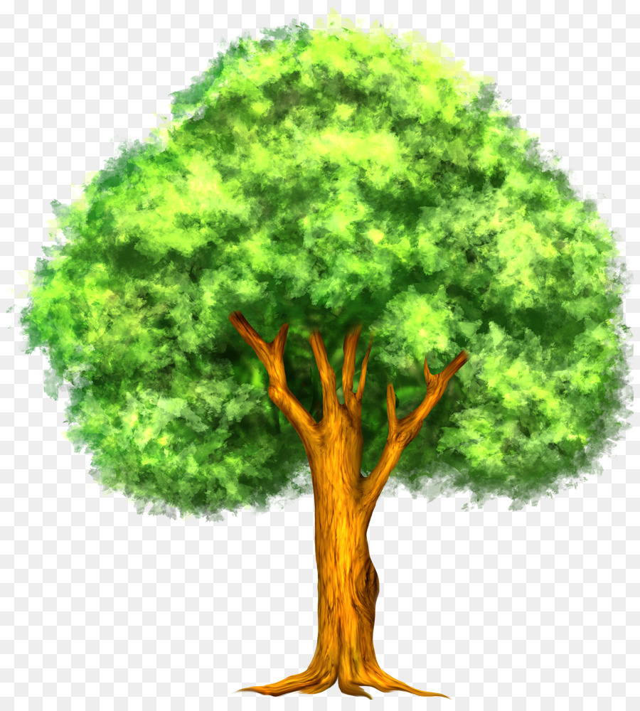 Дерево，дуб PNG