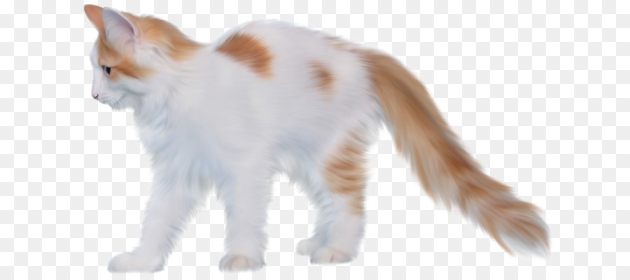 Эгейская кошка，мэнкс PNG